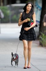FAMKE JANSSEN Out and About with Her Dog in New York 07/02/2016