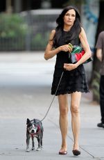 FAMKE JANSSEN Out and About with Her Dog in New York 07/02/2016