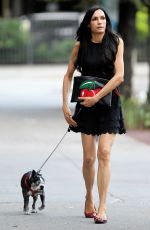 FAMKE JANSSEN Out and About with Her Dog in New York 07/02/2016