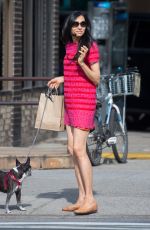 FAMKE JANSSEN Out with Her Dog in New York 07/02/2016