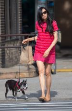 FAMKE JANSSEN Out with Her Dog in New York 07/02/2016