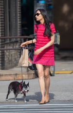 FAMKE JANSSEN Out with Her Dog in New York 07/02/2016
