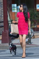 FAMKE JANSSEN Out with Her Dog in New York 07/02/2016