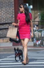 FAMKE JANSSEN Out with Her Dog in New York 07/02/2016
