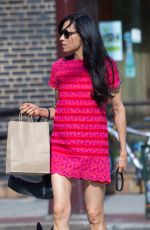 FAMKE JANSSEN Out with Her Dog in New York 07/02/2016