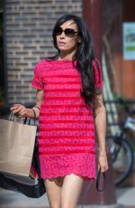 FAMKE JANSSEN Out with Her Dog in New York 07/02/2016