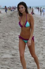 JULIA PEREIRA in Bikini at a Beach in Miami 07/26/2016