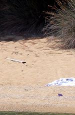 KATE HUDSON in Bikini at a Beach in Skiathos 07/24/2016