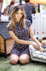 KATHARINE MCPHEE at Clear the Shelters Pet Adoption in Los Angeles 07/16/2016