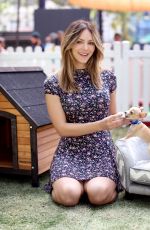 KATHARINE MCPHEE at Clear the Shelters Pet Adoption in Los Angeles 07/16/2016