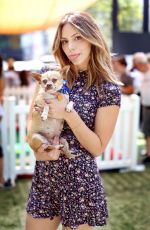 KATHARINE MCPHEE at Clear the Shelters Pet Adoption in Los Angeles 07/16/2016