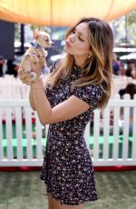 KATHARINE MCPHEE at Clear the Shelters Pet Adoption in Los Angeles 07/16/2016