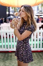 KATHARINE MCPHEE at Clear the Shelters Pet Adoption in Los Angeles 07/16/2016