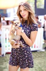 KATHARINE MCPHEE at Clear the Shelters Pet Adoption in Los Angeles 07/16/2016