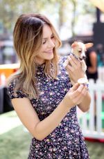 KATHARINE MCPHEE at Clear the Shelters Pet Adoption in Los Angeles 07/16/2016