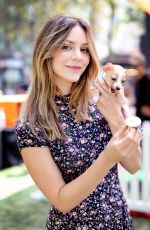 KATHARINE MCPHEE at Clear the Shelters Pet Adoption in Los Angeles 07/16/2016