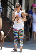 LUCY LIU Walks Her Dog Out in New York 07/23/2016