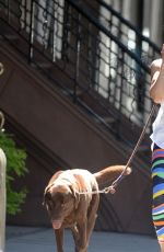 LUCY LIU Walks Her Dog Out in New York 07/23/2016