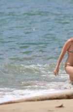MARGOT ROBBIE in Bikini at a Beach in Hawaii 07/14/2016