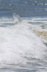 MARGOT ROBBIE in Swimsuit Surfing in Hawaii 07/19/2016