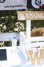 MARIA MENOUNOS Throws a Sweet 16 Birthday Party for Her Dog in Los Angeles 07/10/2016