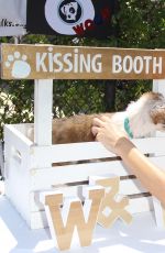 MARIA MENOUNOS Throws a Sweet 16 Birthday Party for Her Dog in Los Angeles 07/10/2016