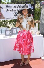 MARIA MENOUNOS Throws a Sweet 16 Birthday Party for Her Dog in Los Angeles 07/10/2016