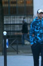 NICOLE SCHERZINGER and Grigor Dimitrov Out in Paris 05/23/2016
