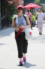 SARAH SILVERMAN Out Shopping in New York 07/18/2016