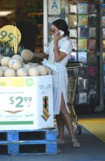 VANESSA HUDGENS Shopping in Los Angeles 07/15/2016
