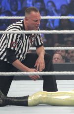 WWE - BattleGround 2016 Digitals
