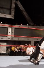 WWE - Canadian Superstars