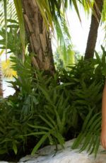 WWE - Lana Bikini Photoshoot 