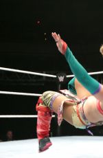 WWE - Live Event in Tokyo 07/01/2016
