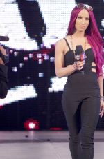 WWE - Raw Digitals 07/04/2016