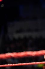 WWE - Raw Digitals 07/25/2016
