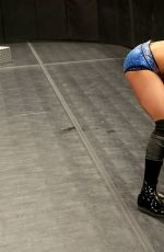 WWE - Raw Digitals 07/25/2016