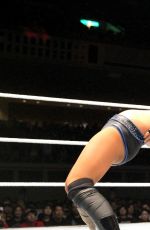 WWE - Tokyo, Japan, Night Two