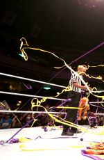 WWE - Tokyo, Japan, Night Two
