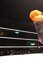 WWE - Tokyo, Japan, Night Two