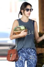 ALESSANDRA AMBROSIO Out in Brentwood 08/25/2016