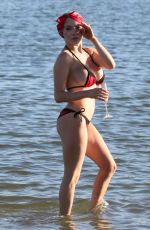 COURTNEY STODDEN in Bikini with Doug Hutchison at Venice Beach 08/17/2016