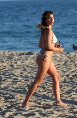 FERNE MCCAN in Bikini at a Beach in Los Angeles 07/30/2016