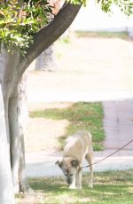 JENNIFER WESTFELDT Out with Her Dog in Los Angeles 08/06/2016