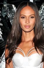 JOAN SMALLS at W Hotel Party to Celebrate Opening of W Dubai in New York 08/17/2016