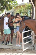 KENDALL JENNER at Horseback Riding at a Beach in Turks and Caicos 08/13/2016