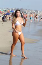 LIZIANE GUTIERREZ in Bikini on the Beach in Los Angeles 07/29/2016