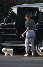 LUCY HALE Out with Her Dog in Studio City 08/01/2016