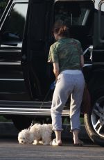 LUCY HALE Out with Her Dog in Studio City 08/01/2016