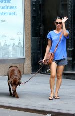 LUCY LIU Walks Her Dog Out in New York 08/14/2016